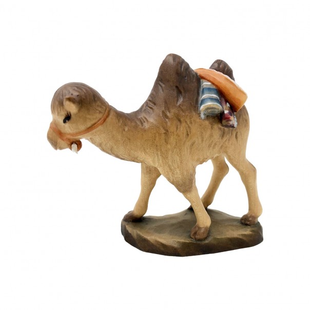 Camel ANRI Ferrandiz 7.5 cm
