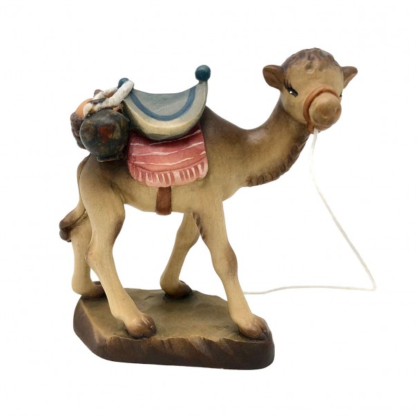 Camel ANRI Ferrandiz 7.5 cm