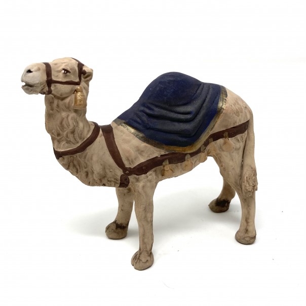 Camel