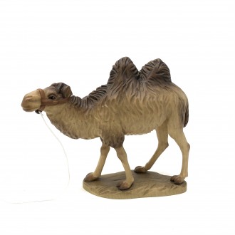 Camel ANRI Bernardi 10 cm