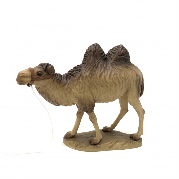 Camel ANRI Bernardi 10 cm