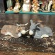 Donkey and ox, Neapolitan dressed 13 cm