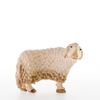 Curious sheep -kastlunger-
