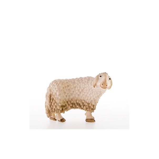 Curious sheep -kastlunger-