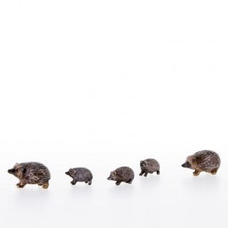Hedgehog family -kastlunger-