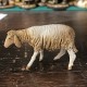Sheep with low head Angela Tripi 13 cm, Angela Tripi 13 cm