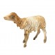 Sheep with head up Angela Tripi 13 cm, Angela Tripi 13 cm