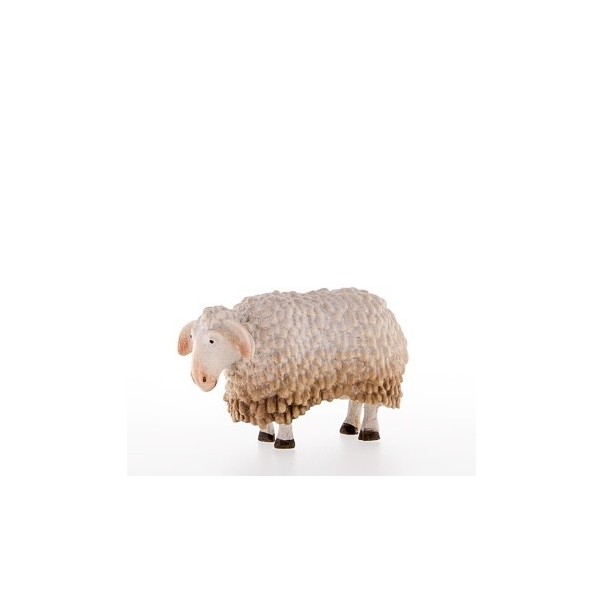 Sheep bent over -kastlunger-
