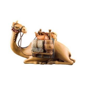 Camel lying -kastlunger-