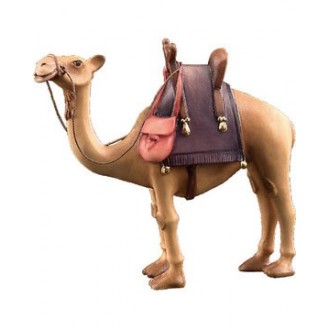Standing camel -kastlunger-