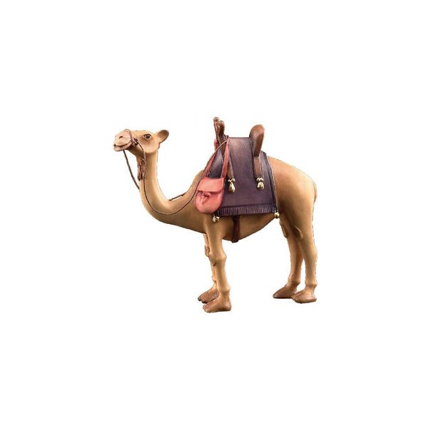 Standing camel -kastlunger-