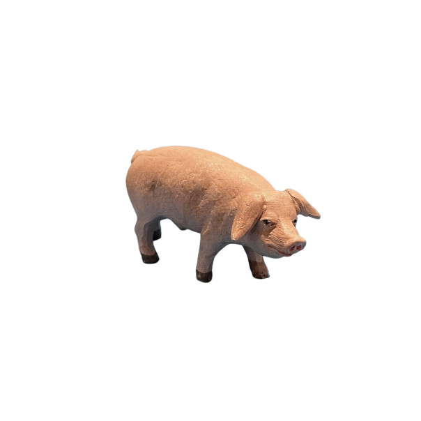 Pig