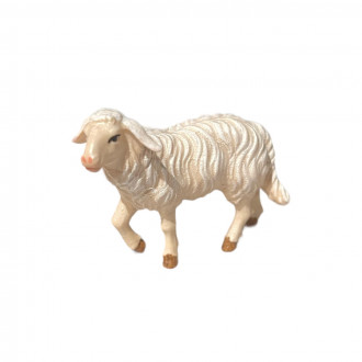sheep -kostner-