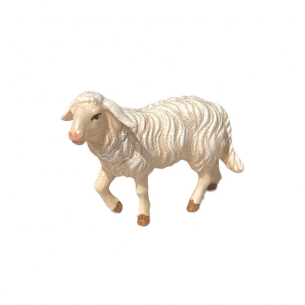 sheep -kostner-