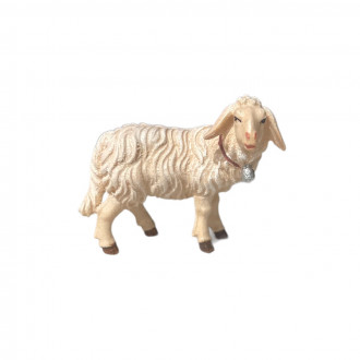 Turned sheep -kostner-