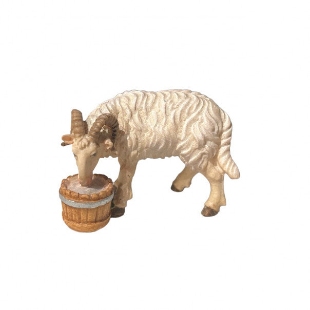 Ariete che beve -kostner-