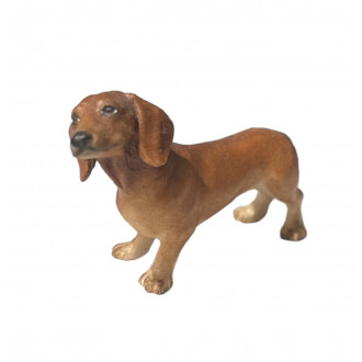 Dachshund -kostner-