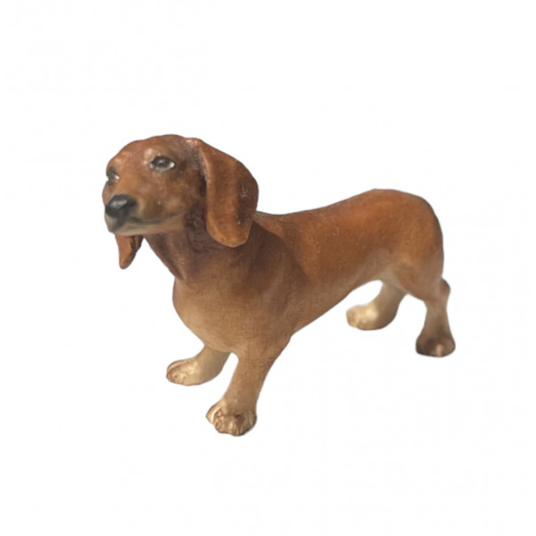 Dachshund -kostner-