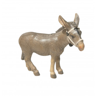 Donkey with halter -kostner-