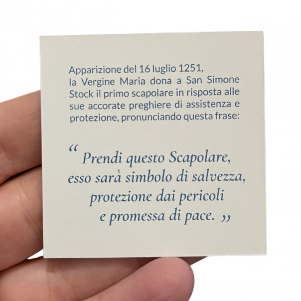 Scapolare placche conio argento e ematite