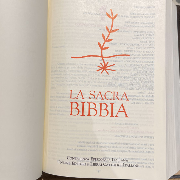 Sacra Bibbia copertina cuoio e argento