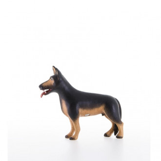 Sheeperd Dog kastlunger