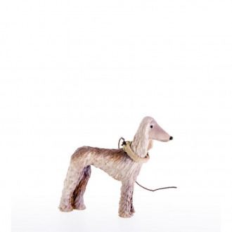 Greyhound Kastlunger