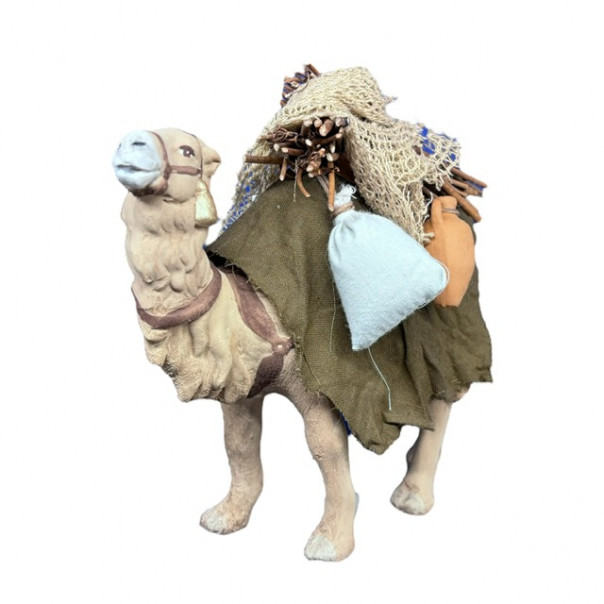Camel with load