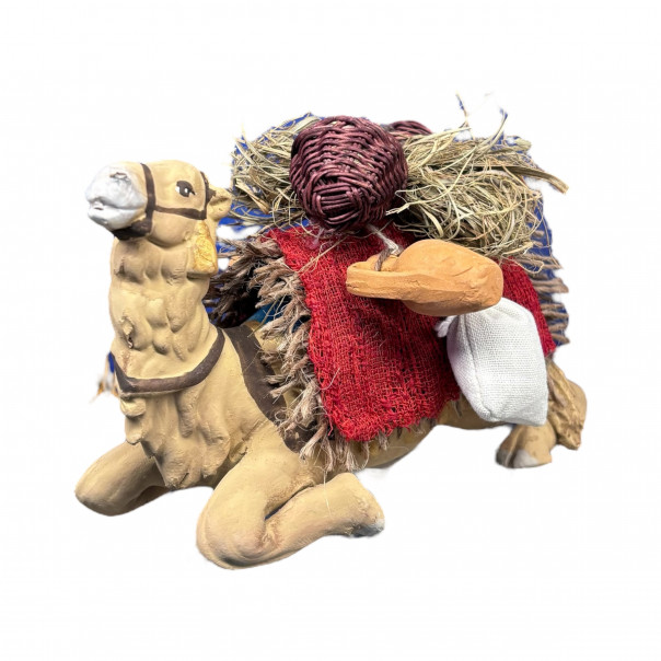 Cammello sdraiato con carico