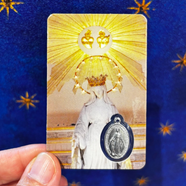 miraculous medal prayer card for the sick