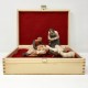 Stevia nativity scene with box